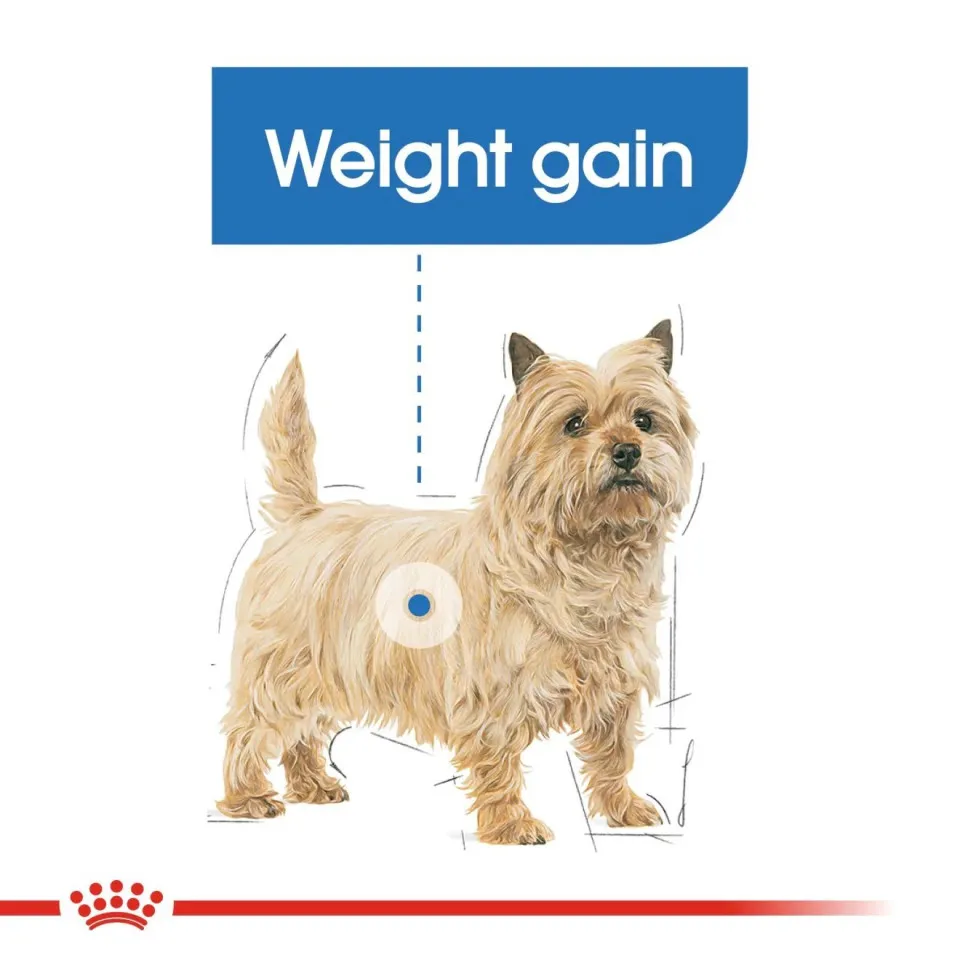 پوچ رویال کنین مخصوص کنترل وزن سگ Royal Canin Light weight care pouch
