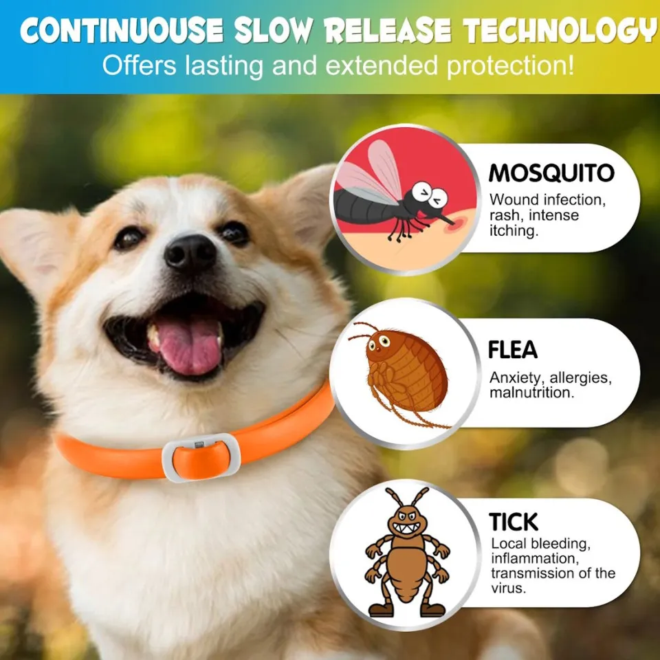 قلاده کک و کنه سگ اویمال Oimmal Flea & Tick Collar