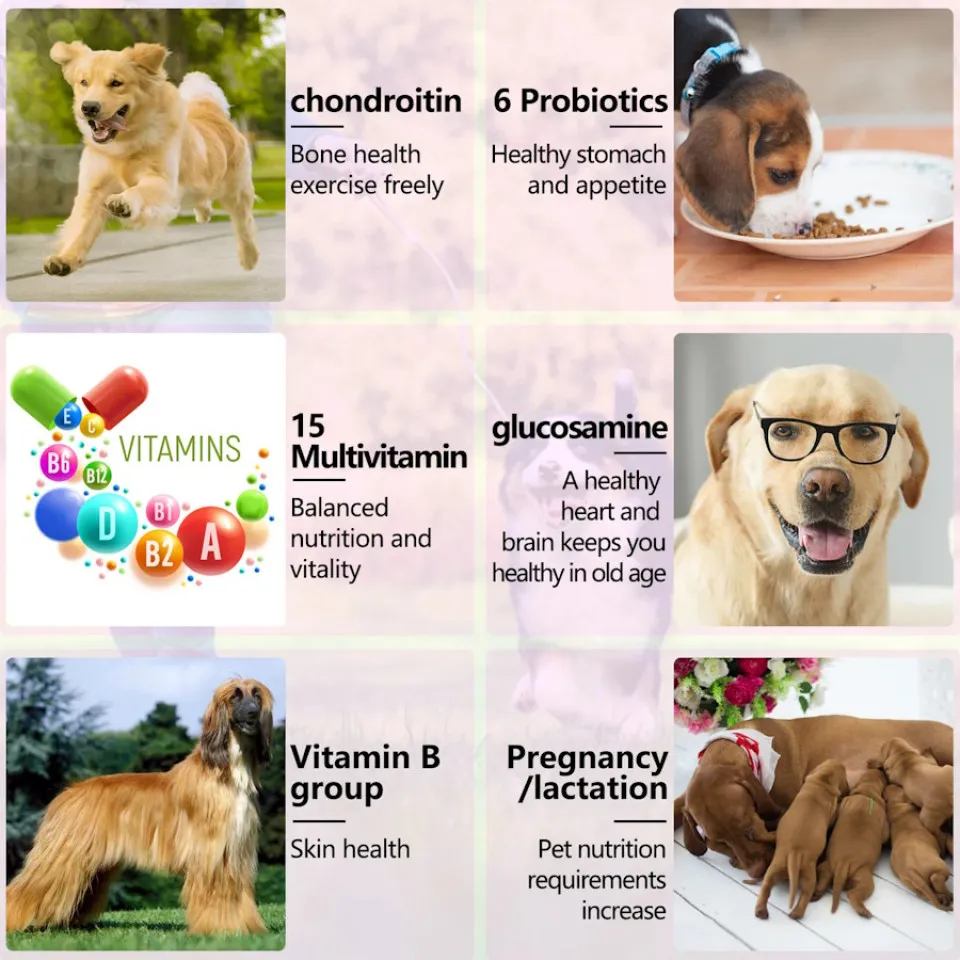 مولتی ویتامین 5 منظوره سگ اویمال :: Oimmal 15in1 MULTIVITAMIN