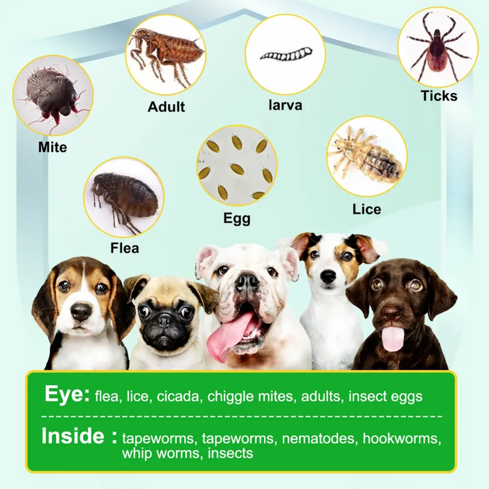 Oimmal Flea and Tick Chews for Dogs