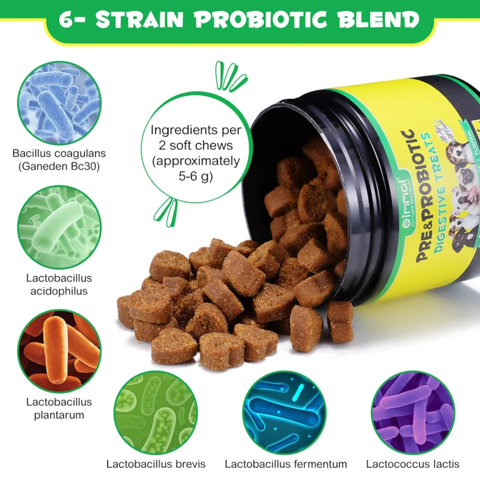 پری بیوتیک و پروبیوتیک اویمال :: Oimmal Pre & Probiotic Digestive