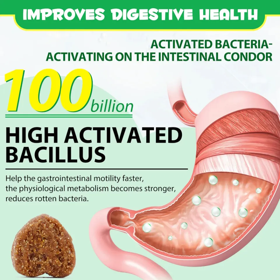 پری بیوتیک و پروبیوتیک اویمال :: Oimmal Pre & Probiotic Digestive