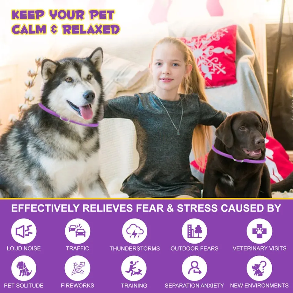 قلاده آرامش بخش سگ اویمال :: Oimmal Calming Collar for Dogs
