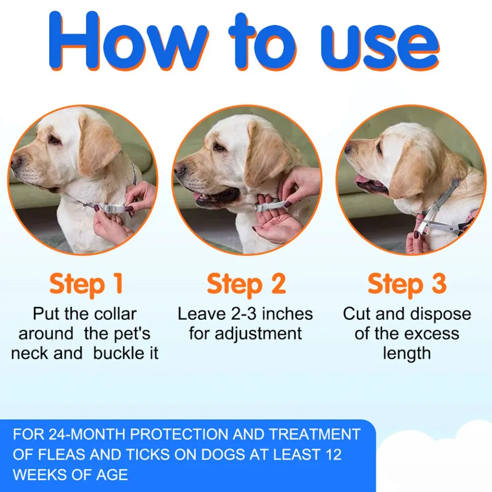قلاده کک و کنه و حشرات اویمال :: Oimmal Flea & Tick Collar For Dogs