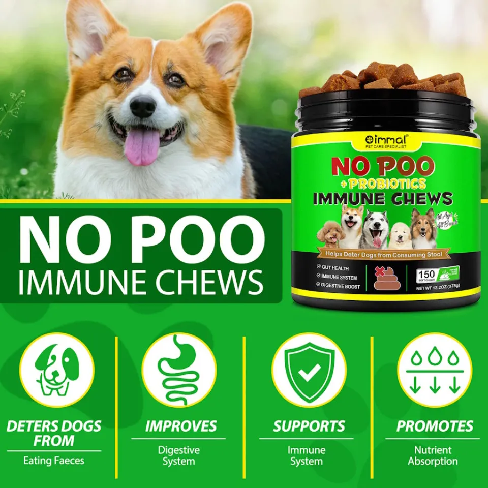 مدفوع خواری سگ اویمال :: Oimmal No Poo