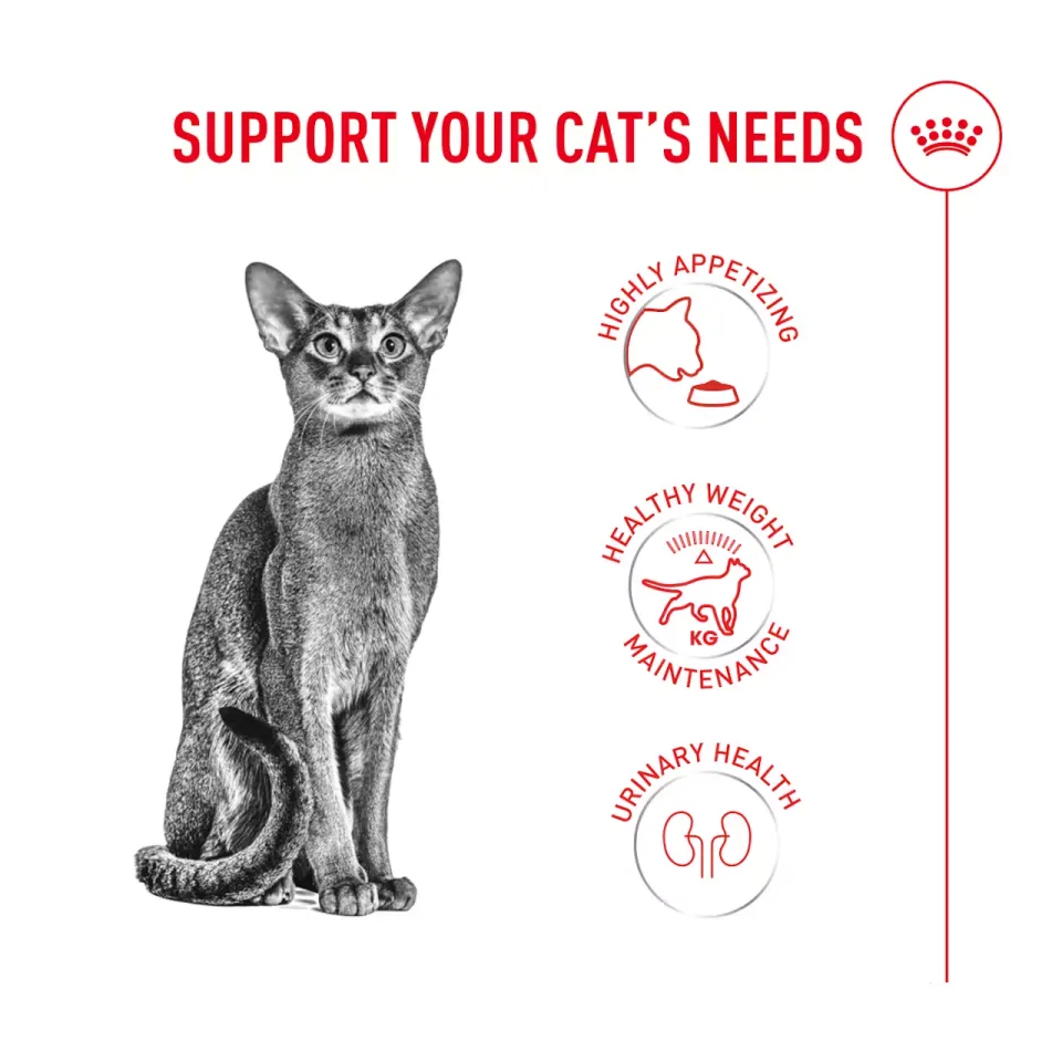 غذای گربه فاسی اگزیجنت رویال کنین  Royal Canin Fussy Exigent 10kg