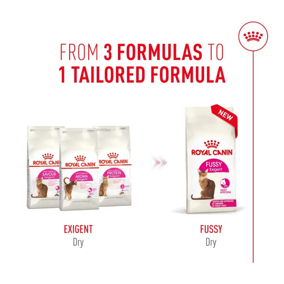 غذای گربه فاسی اگزیجنت رویال کنین  Royal Canin Fussy Exigent 10kg