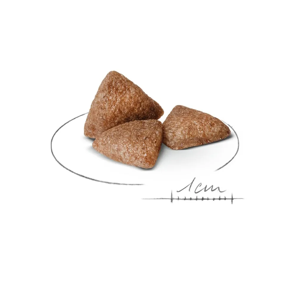غذای سگ بالغ نژاد کوچک داخل خانه رویال کنین :: Royal Canin Mini Indoor
