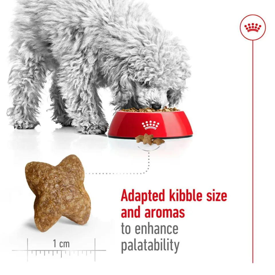غذای سگ نژاد کوچک بالای 8 سال رویال کنین :: Royal Canin Mini Adult +8