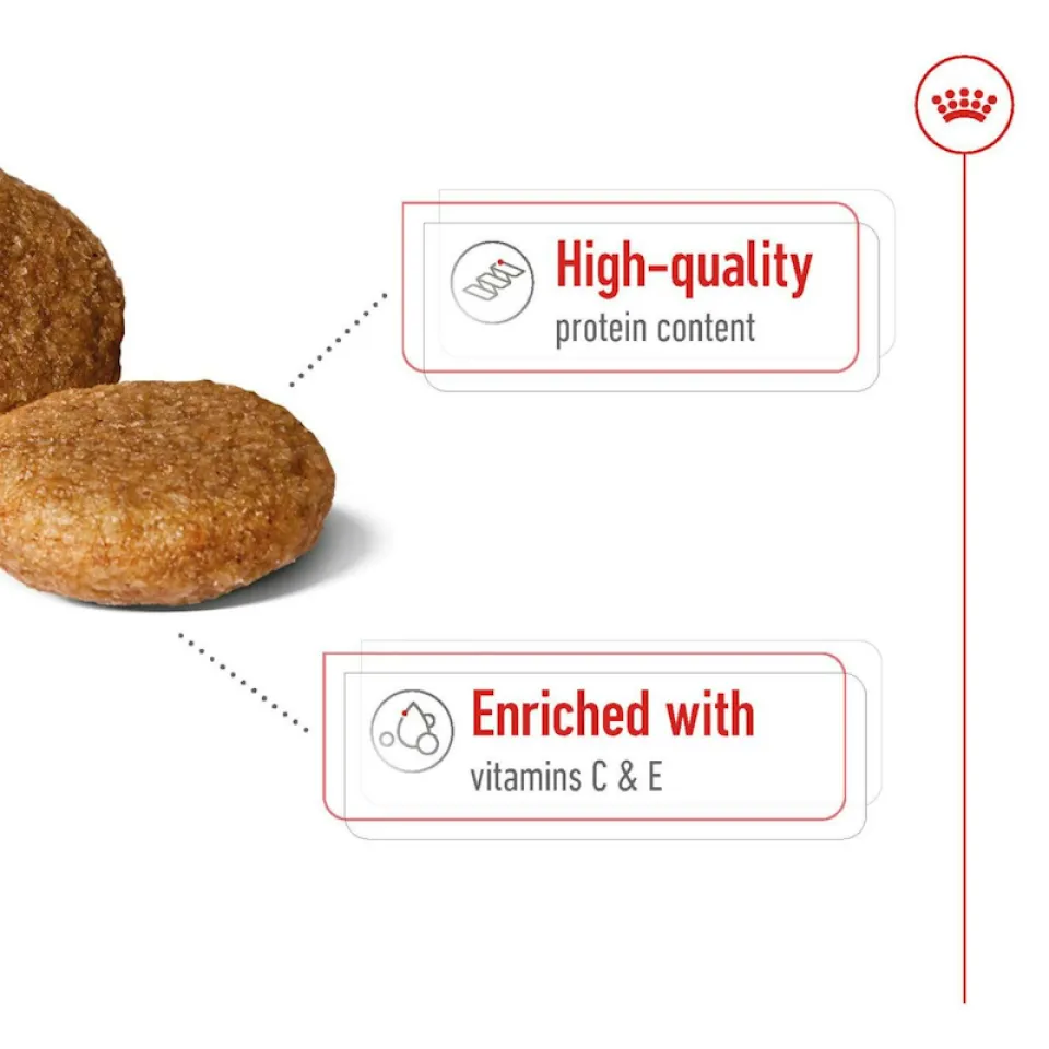 رویال کنین مدیوم ادالت :: Royal Canin Medium Adult