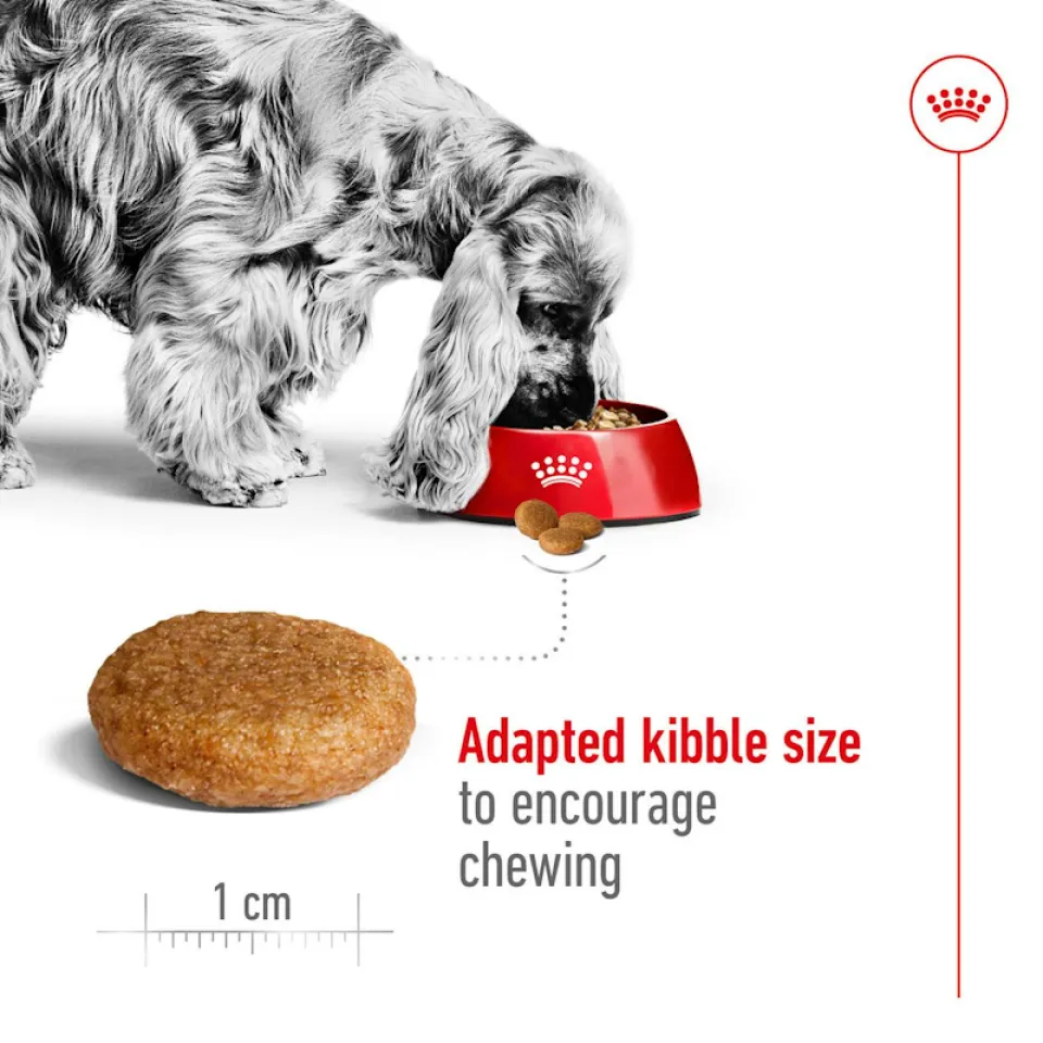 رویال کنین مدیوم ادالت :: Royal Canin Medium Adult