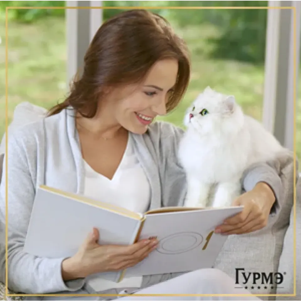 پوچ گربه گورمه پرله فیله مرغ در سس Purina Gourmet Perle Pouch Chicken Fillet In Sauce 75g