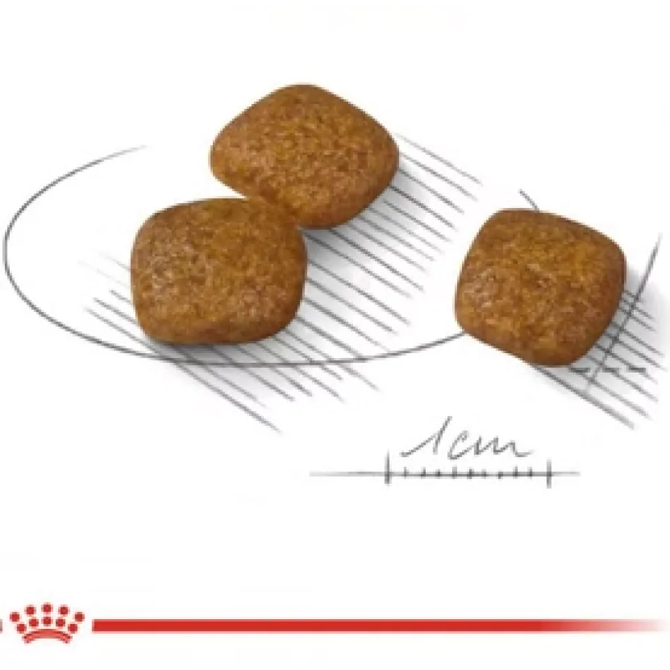 غذا خشک سگ مینی رویال کنین یورینری کر  ROYAL CANIN Mini Urinary Care, 