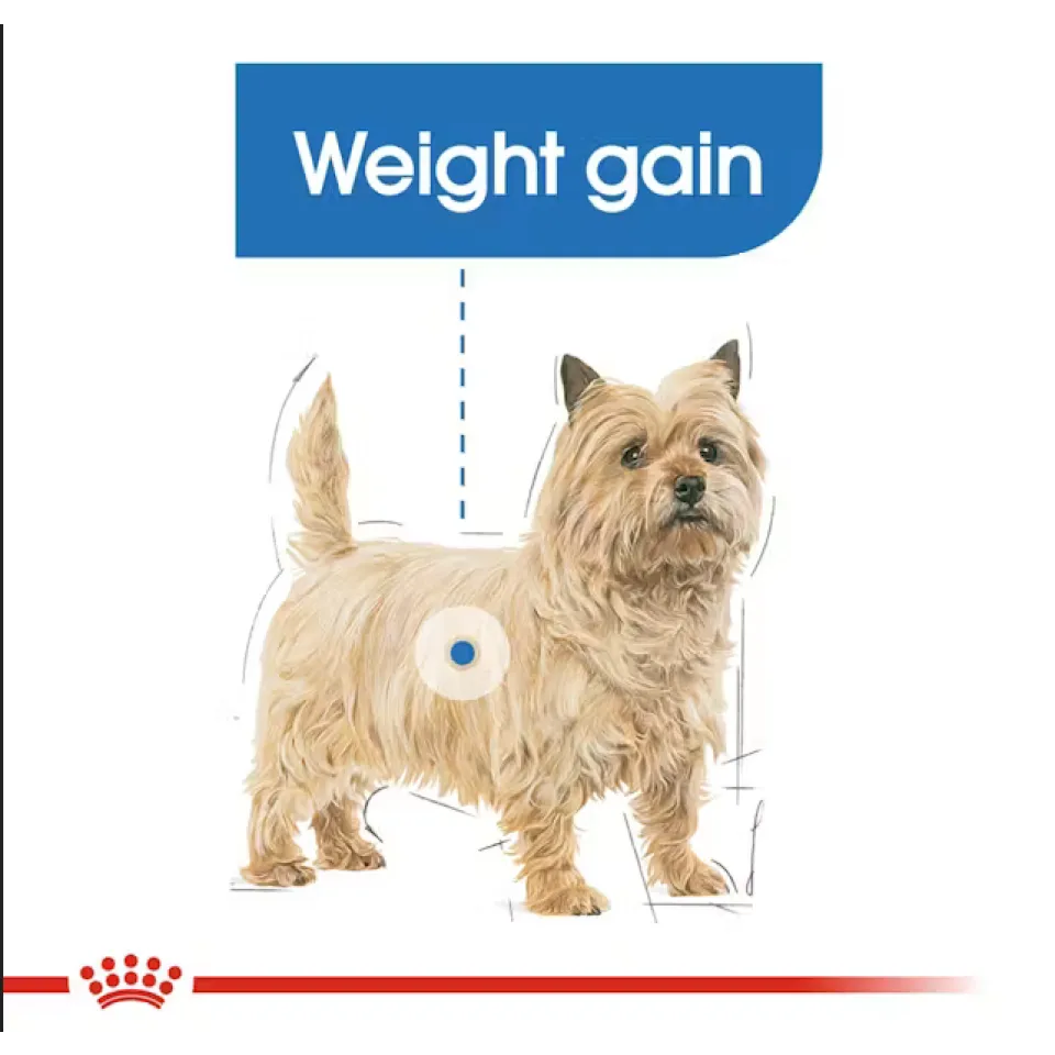پوچ رویال کنین مخصوص کنترل وزن سگ Royal Canin Light weight care pouch