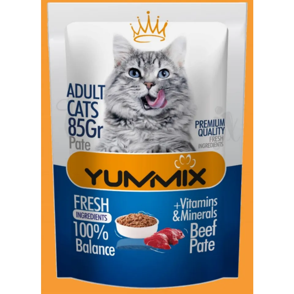 وچ گربه بالغ یامیکس گوشتYummix Adult Pouch  Beef