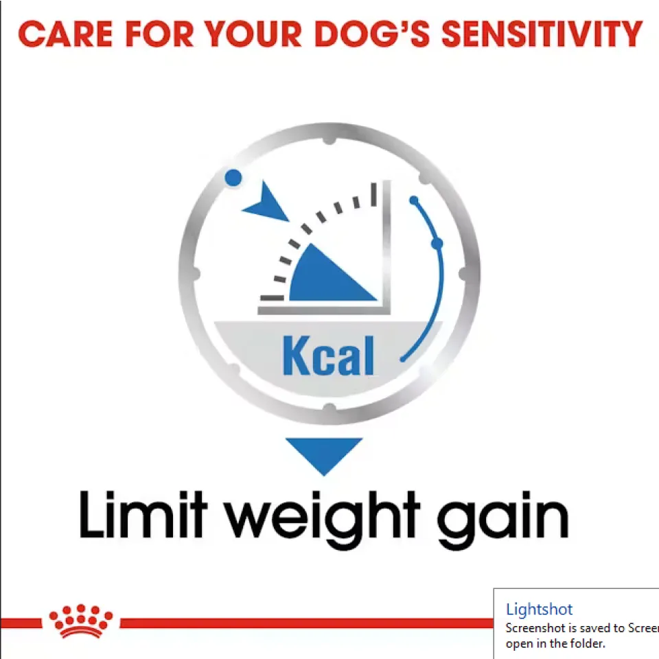 پوچ رویال کنین مخصوص کنترل وزن سگ Royal Canin Light weight care pouch