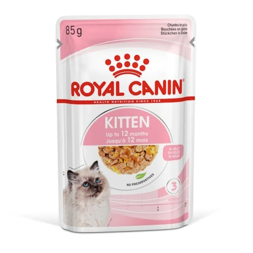 پوچ بچه گربه رویال کنین کیتن در ژله :: Royal Canin Kitten Chunks in jelly