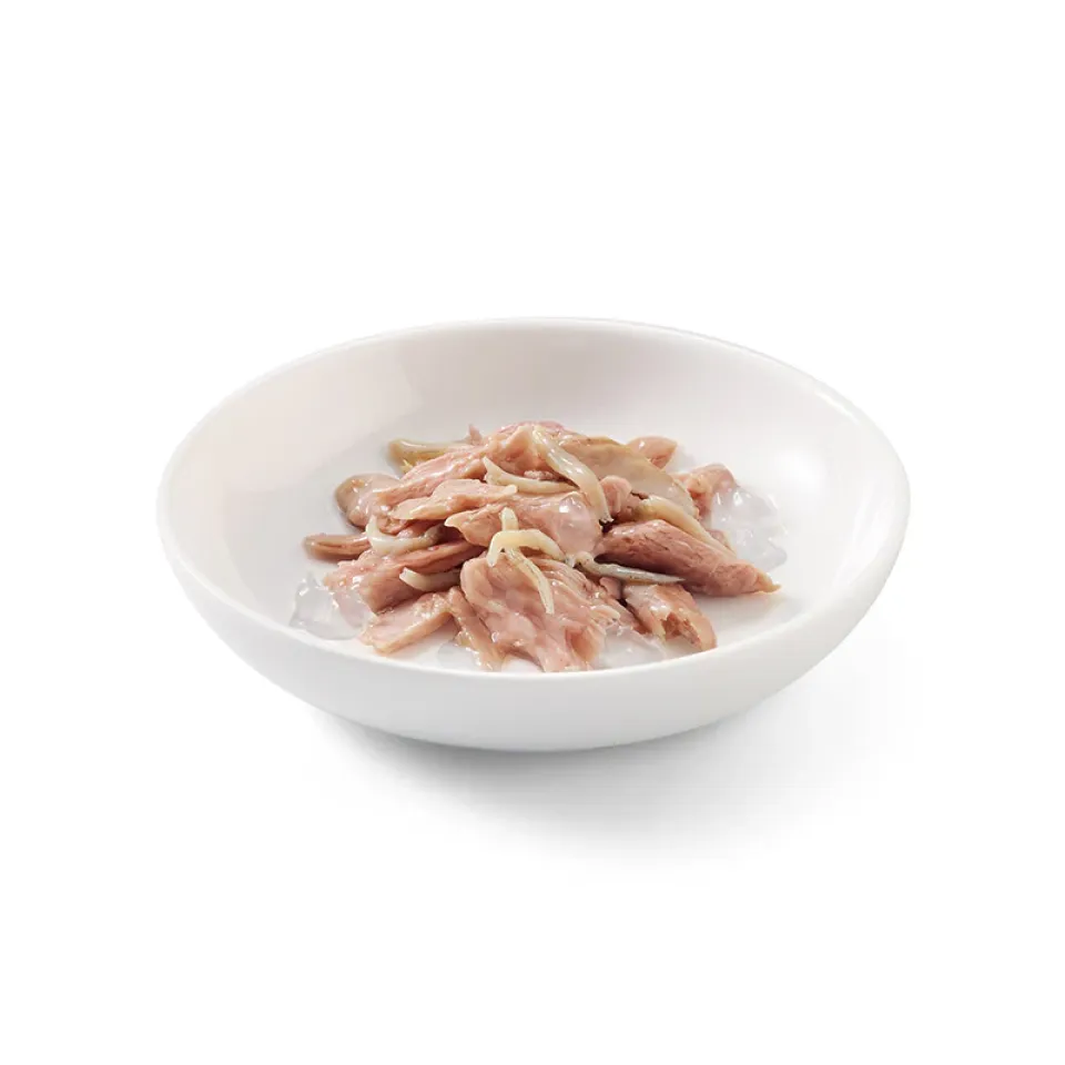 پوچ گربه شسیر ماهی تن و نرم‌تن دریایی در ژله Schesir Tuna with Whitebaits