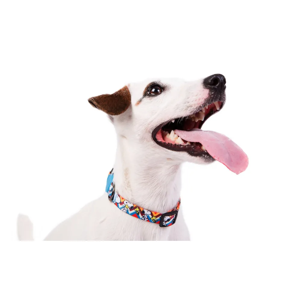 قلاده گردنی اسنوپی زیگ زاگ : Zooz Collar Snoopy ZigZag 