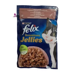پوچ گربه فلیکس سالمون در ژله