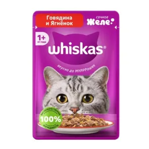 پوچ گربه ویسکاس گوشت گاو و بره در ژله