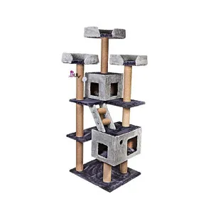 اسکرچر، لانه، جای خواب و درخت مدل گردو