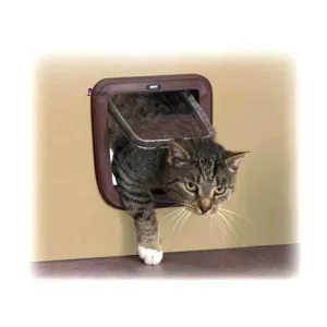 در تردد گربه ساویک