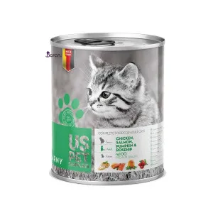 کنسرو گربه یو اس پت مرغ، سالمون، کدو تنبل (400 گرم)