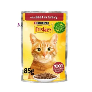 پوچ گربه فریسکیس بیف