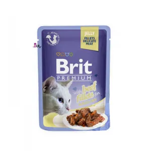 پوچ گربه بریت گوشت