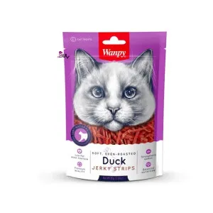 تشویقی گربه ونپی اردک