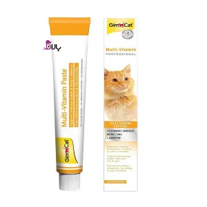 خمیر مولتی ویتامین جیم کت پیشرفته برای افزایش سیستم ایمنی (50 گرم)