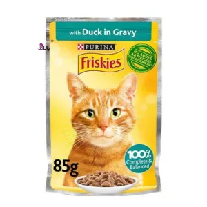 پوچ گربه فریسکیس اردک