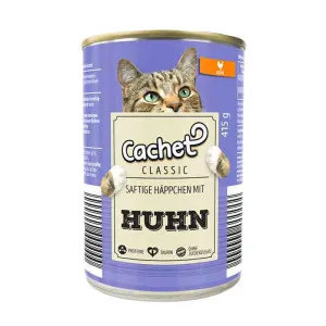 کنسرو گربه کچت مرغ