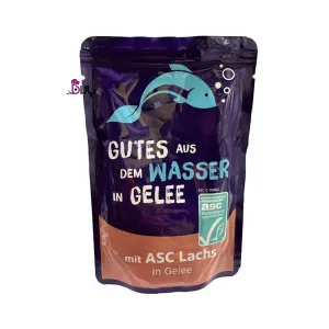 پوچ گربه کوشیدا ماهی سالمون در ژله