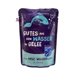 پوچ گربه کوشیدا ماهی سفید در ژله