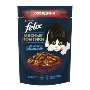 پوچ گربه فلیکس گوشت بیف تکه ای