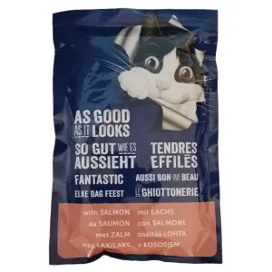 پوچ گربه فلیکس ماهی سالمون