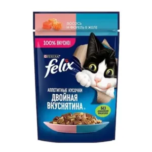 پوچ گربه فلیکس سالمون و ماهی قزل آلا